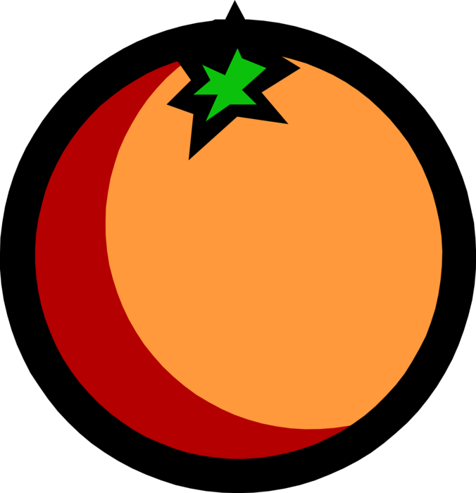 Vector Illustration of Sweet Orange Edible Citrus Fruit