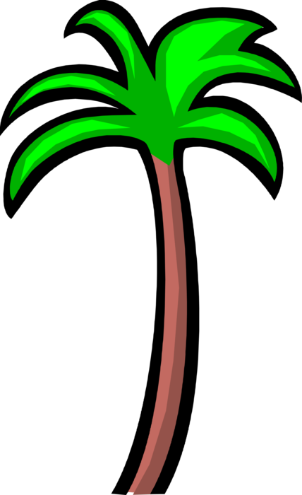 Vector Illustration of Tropical or Subtropical Palm Tree