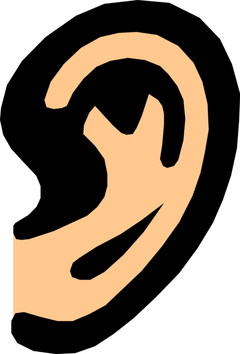 Vector Illustration of Human Ear for Hearing