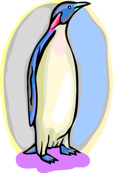 Vector Illustration of Southern Hemisphere Antarctic Polar Region Penguin Flightless Aquatic Bird Standing Tall