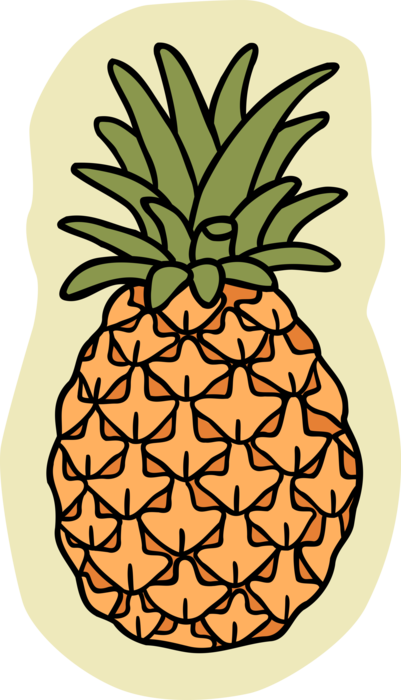 Vector Illustration of Tropical Plant Pineapple Fruit Food