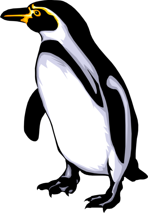 Vector Illustration of Southern Hemisphere Antarctic Polar Region Penguin Flightless Aquatic Bird Waddles on Ice Flow