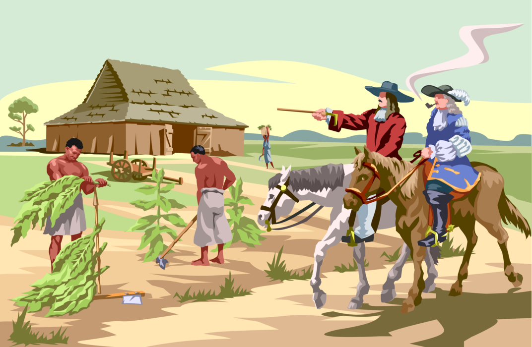 Vector Illustration of Early American Colonialists on Horseback Manage Tobacco Farming