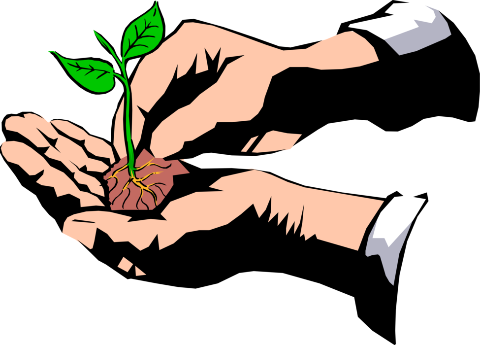 Vector Illustration of Hands with Germinating Seedling Plant with Roots