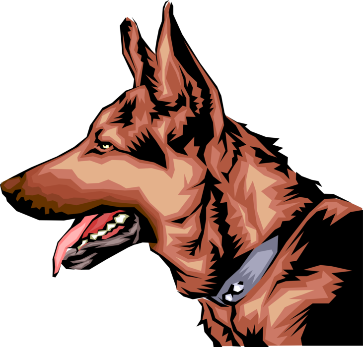 German Shepherd - Vector Image