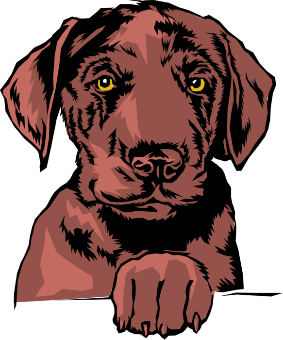 Vector Illustration of Family Pet Brown Dog with Paw
