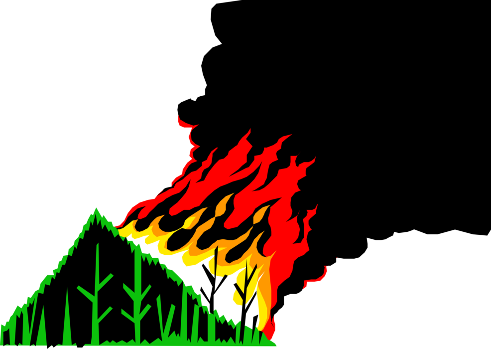 Vector Illustration of Environmental Disaster Raging Forest Fire Caused by Climate Change