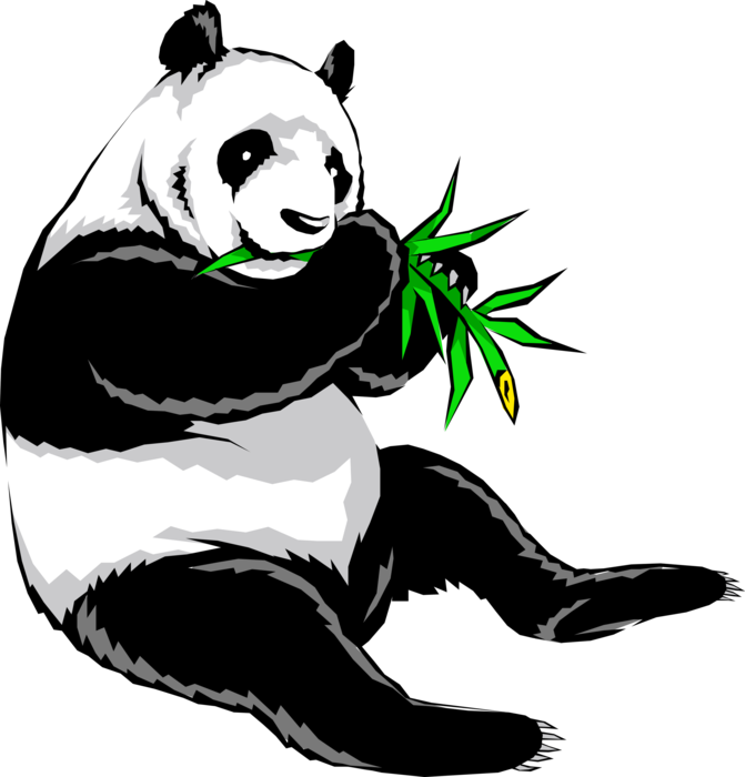 Vector Illustration of Chinese Giant Panda Bear Endangered Species Bear