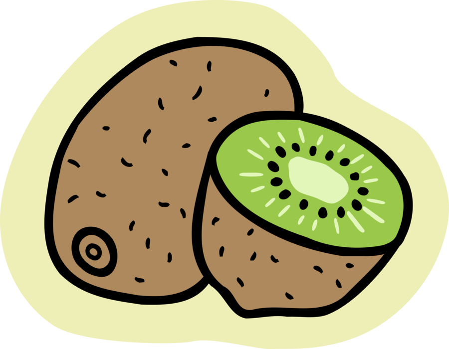 Vector Illustration of Kiwifruit, Chinese Gooseberry or Kiwi Edible Berry Fruit Food