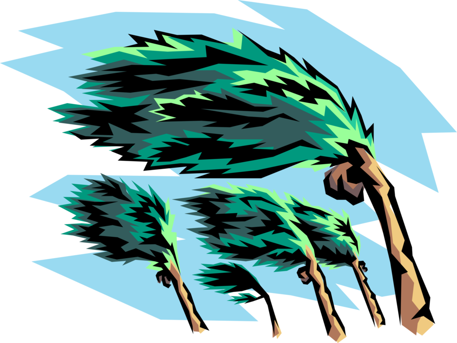 Vector Illustration of Hurricane Force Winds and Palm Trees