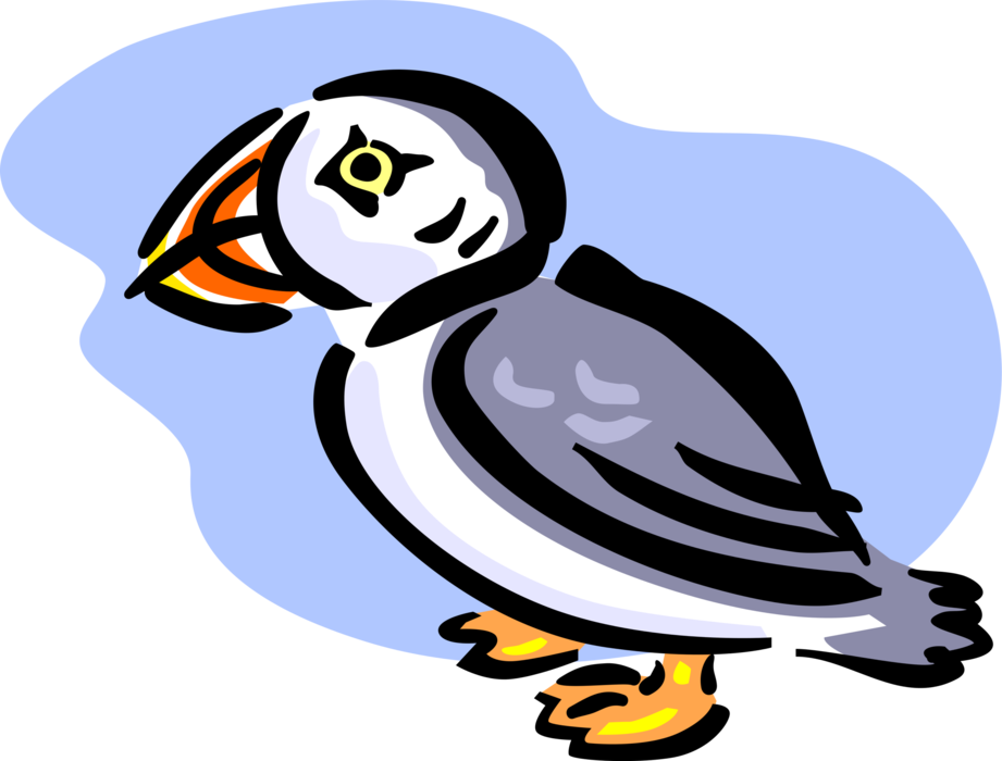 Vector Illustration of Pelagic Seabird Puffin Bird