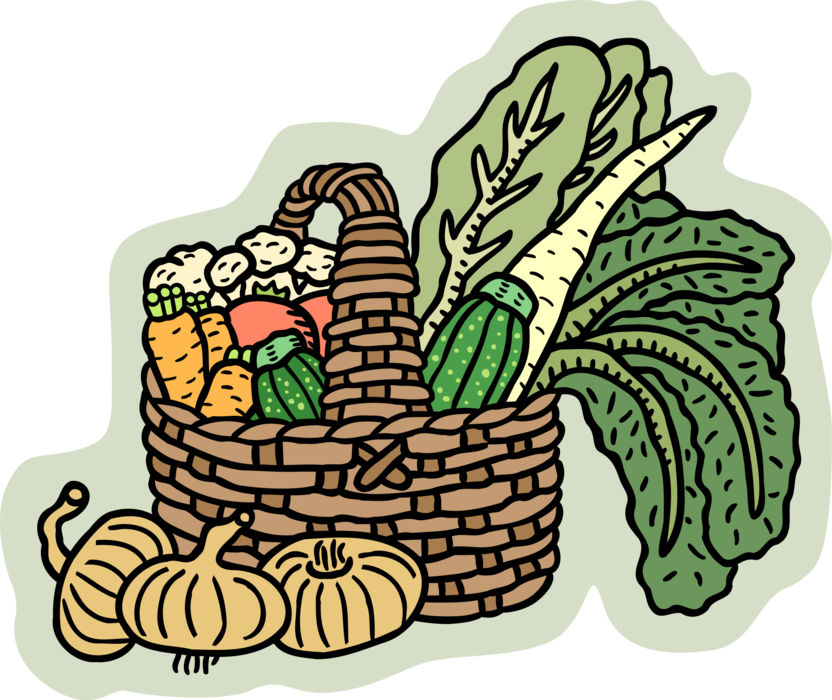 Vector Illustration of Fresh Vegetable Basket with Onions, Carrots, Zucchini and Lettuce
