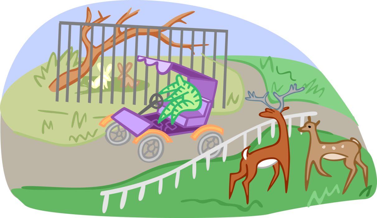 Vector Illustration of Day at the Zoo with White-Tail Deer