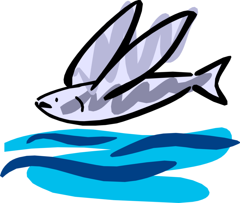 Vector Illustration of Aquatic Marine Flying Fish in Flight Out of Water