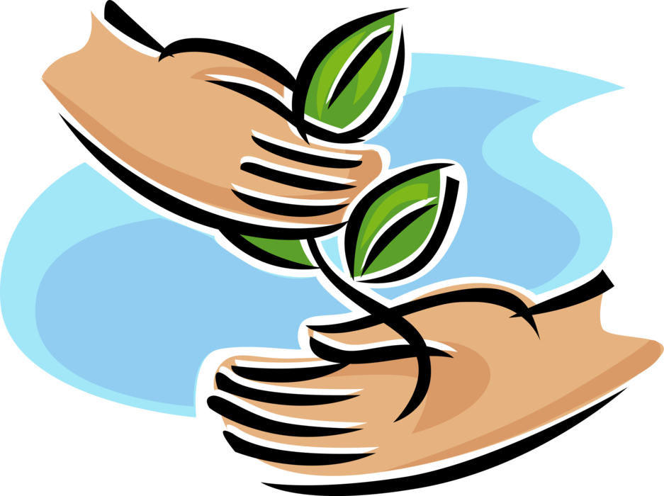 Vector Illustration of Hands Nurture Sapling Plant