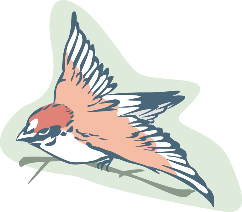 Vector Illustration of Sparrow Feathered Bird