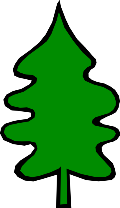 Vector Illustration of Coniferous Evergreen Tree 
