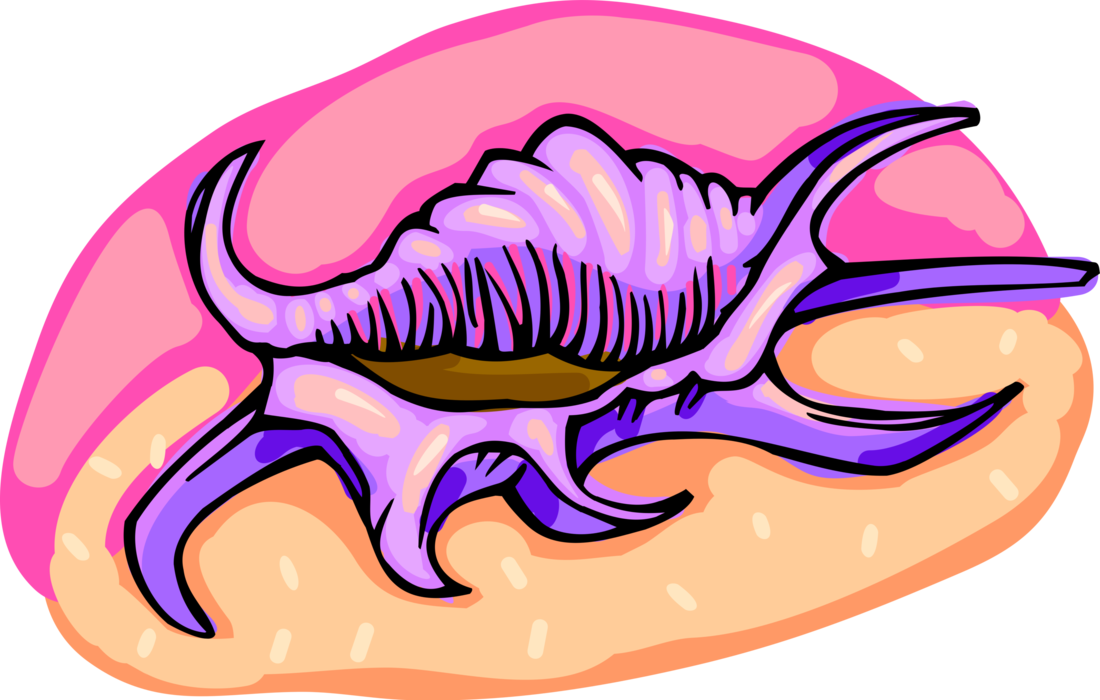 Vector Illustration of Purple Marine Aquatic Seashell