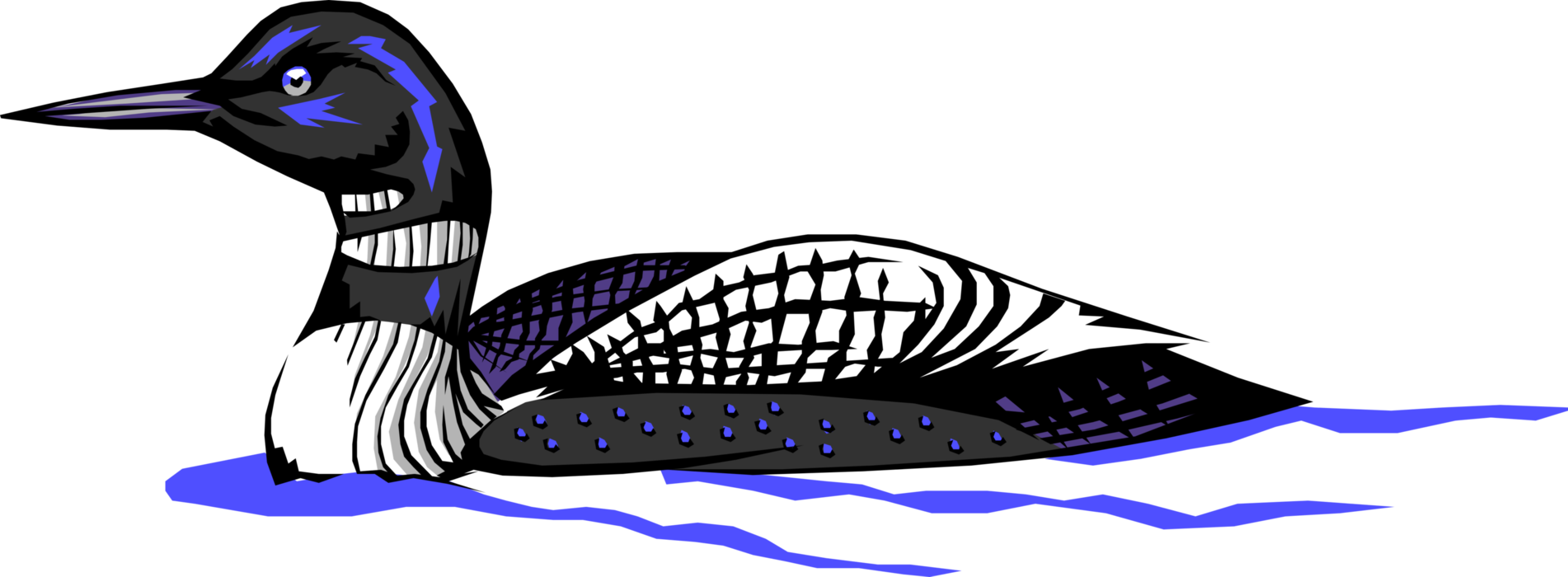 Vector Illustration of North American Aquatic Diving Bird Loon