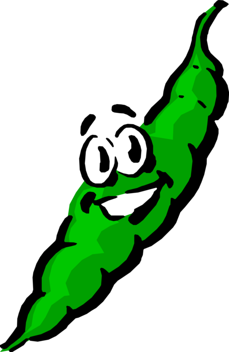Vector Illustration of Anthropomorphic Seed-Pod Edible Vegetable Green Bean