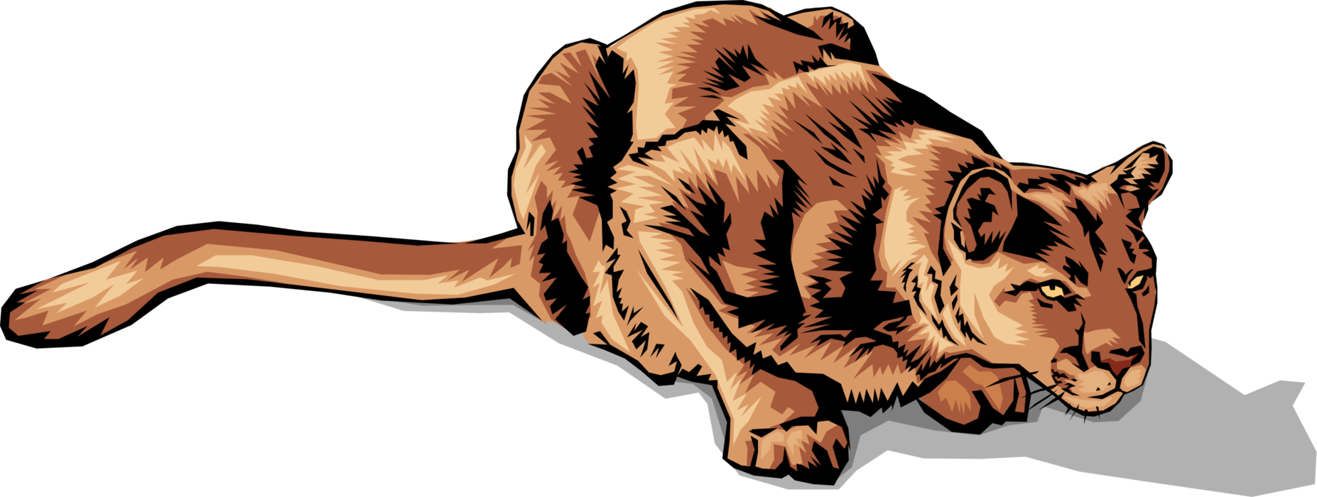Vector Illustration of Large Carnivore African Lioness Cat Ready to Pounce