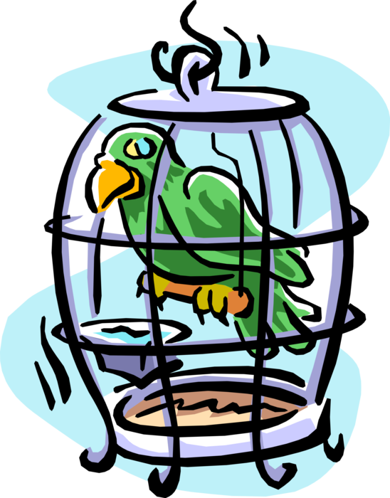 Vector Illustration of Buccaneer Pirate Ship Green Parrot Bird in Birdcage 