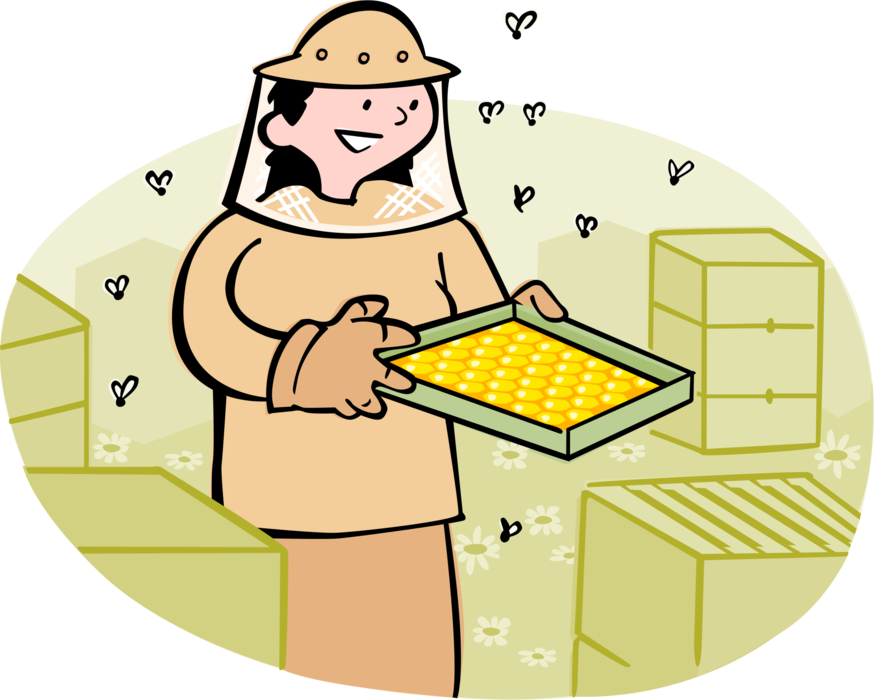 Vector Illustration of Beekeeper Apiarist Keeps Honeybee Honey Bees in Apiary Hive