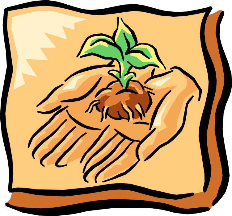 Vector Illustration of Hands Hold and Nurture Sprouting Plant 