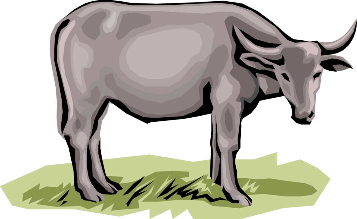 Vector Illustration of Farm Agriculture Livestock Animal Cow with Horns