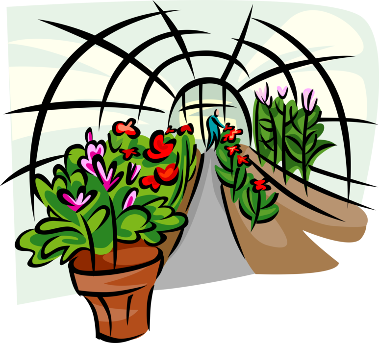 Vector Illustration of Greenhouse Nursery Where Plants are Propagated and Grown with Flowers in Pots