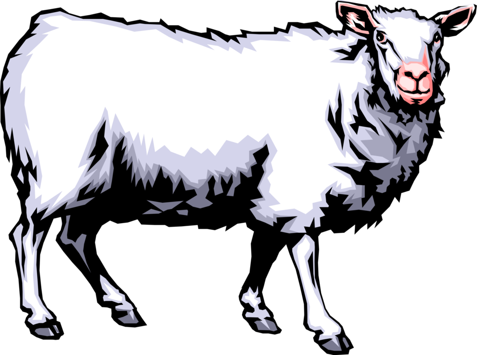 Vector Illustration of Farm Agriculture Livestock Woolly Ruminant Mammal Sheep
