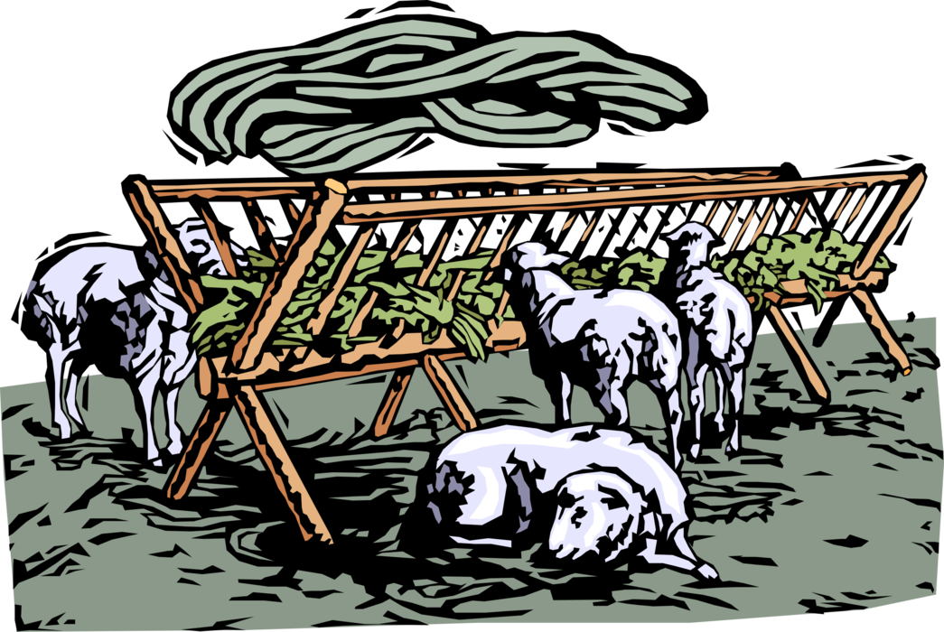 Vector Illustration of Farm Sheep Feeding on Fresh Grass