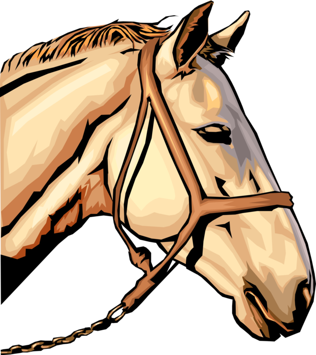 Палка с головой лошади как называется. Голова лошади. Голова лошади для печати. Изображение головы коня. Фон голова лошади.
