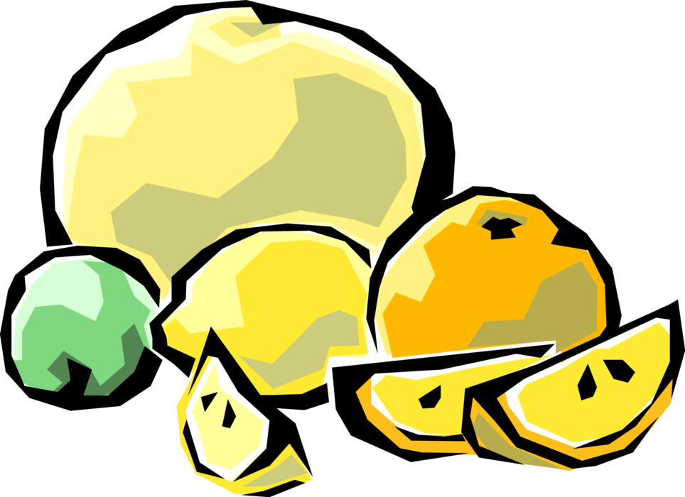Vector Illustration of Citrus Fruit Lime, Lemon, Orange and Grapefruit