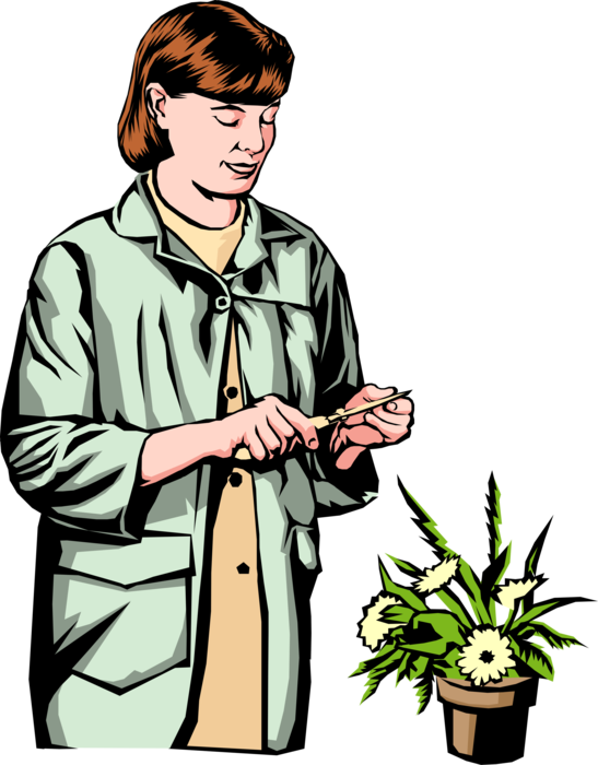 Vector Illustration of Flower Shop Florist with Potted Plant