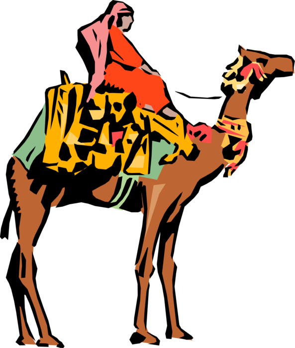 Vector Illustration of Dromedary Beast of Burden Camel in Caravan