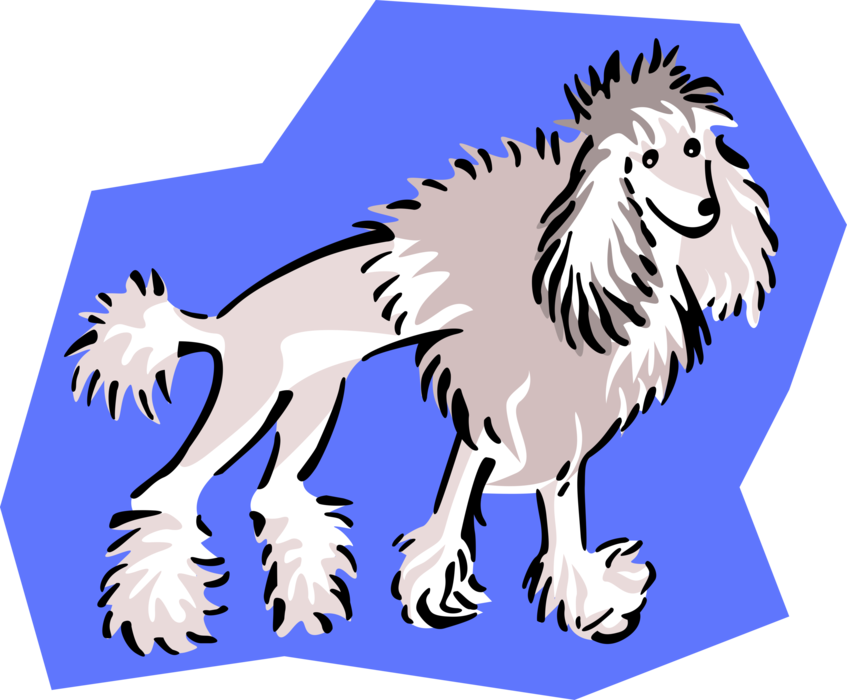 Vector Illustration of Clipped French Poodle Dog