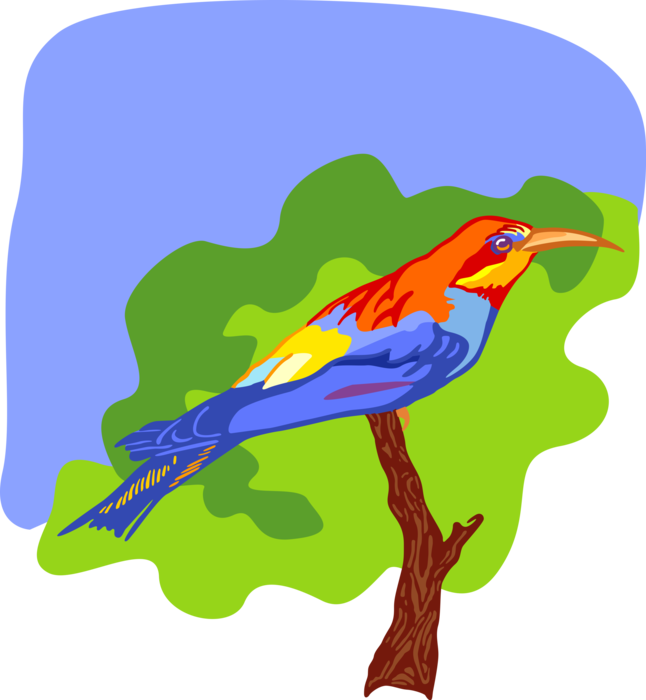 Vector Illustration of Colorful Feathered Bird