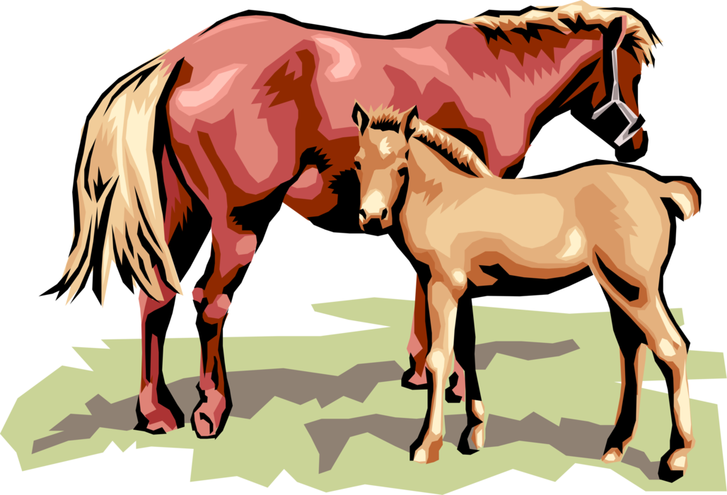 Vector Illustration of Quadruped Equine Horse Parent Mother with Colt