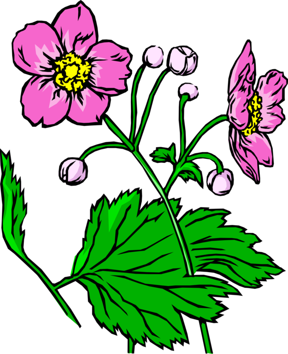 Vector Illustration of Purple Flower