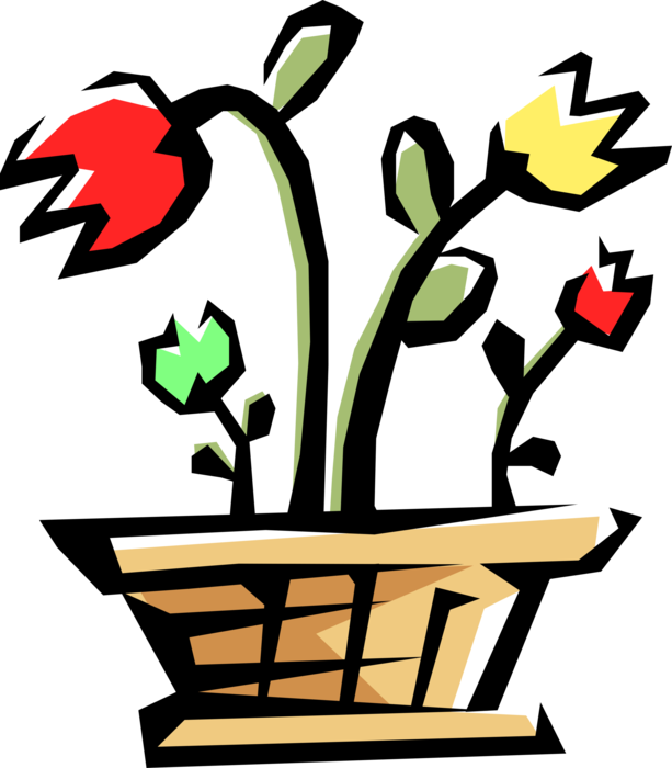 Vector Illustration of Spring Tulip Bulbous Plant Houseplants