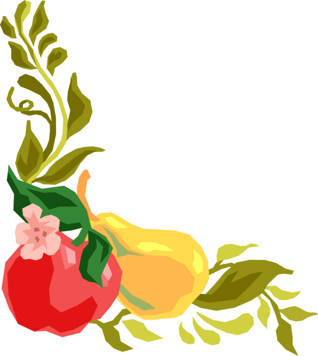Vector Illustration of Apple and Pear Fruit and Vine