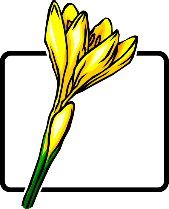 Vector Illustration of Spring Crocus Perennial Flowering Plant Flower