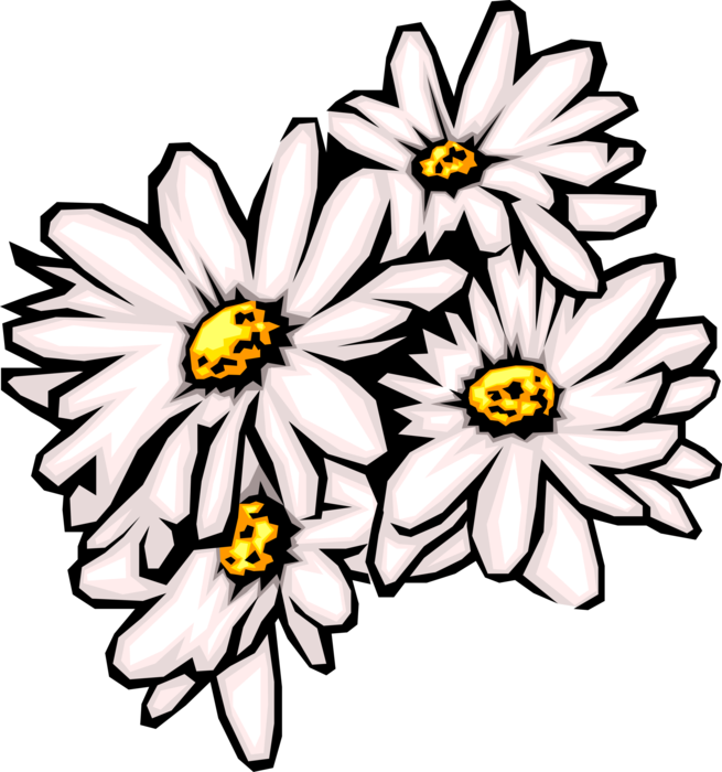 Vector Illustration of Summer Daisy Flowers