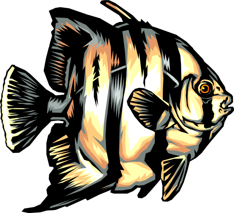 Vector Illustration of Striped Black Perch Tropical Fish