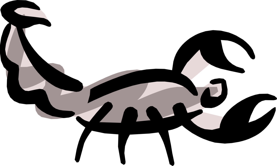Vector Illustration of Predatory Arachnid Scorpion with Stinger Poised to Strike