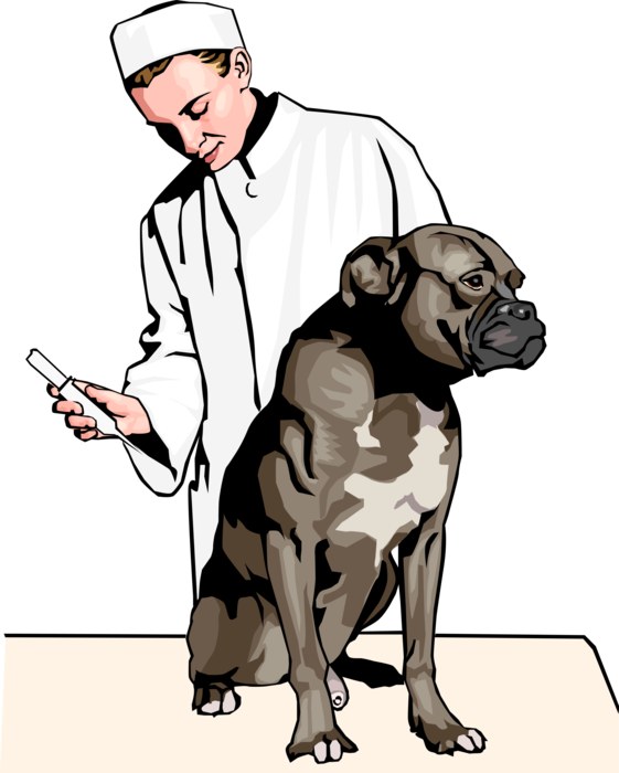 Vector Illustration of Veterinary Physician with Hypodermic Syringe for Dog's Injection