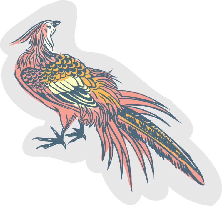 Vector Illustration of Brightly Colored Pheasant Bird