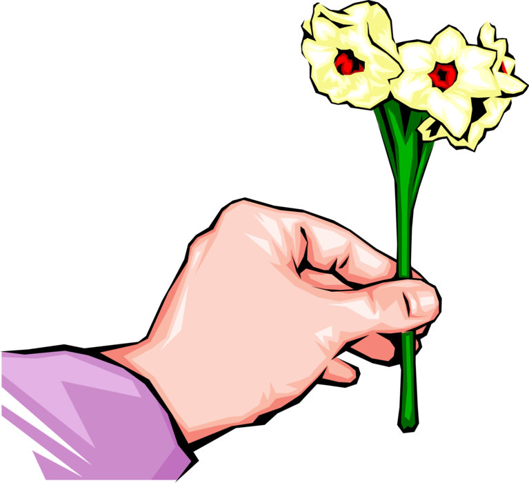 Vector Illustration of Hand Presents Spring Daffodil Flowers