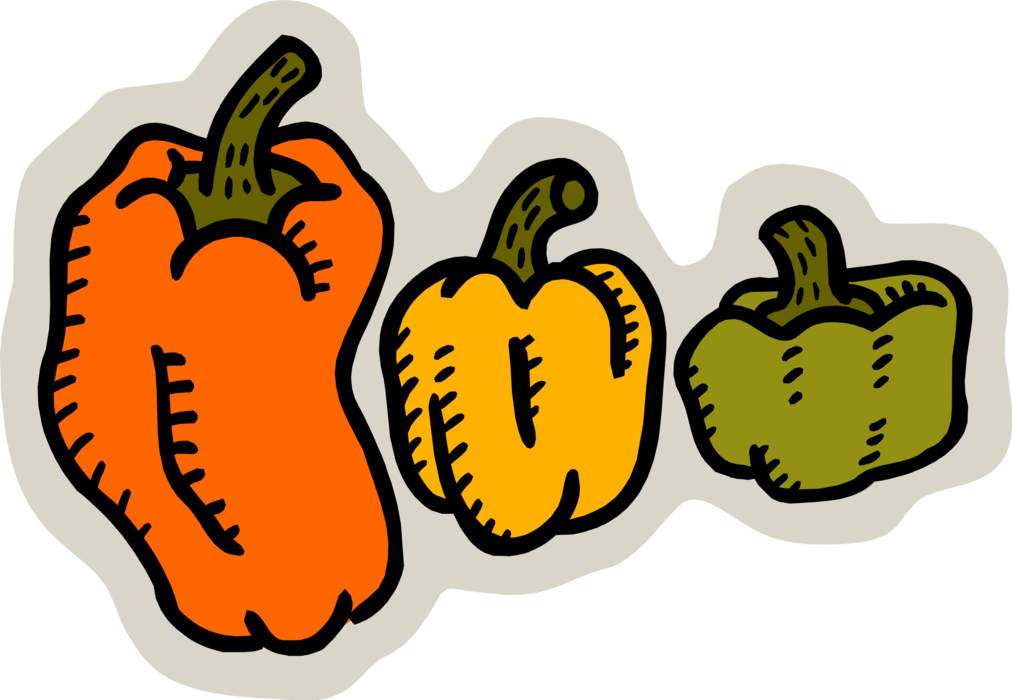 Vector Illustration of Green, Yellow and Red Capsicum Bell Peppers